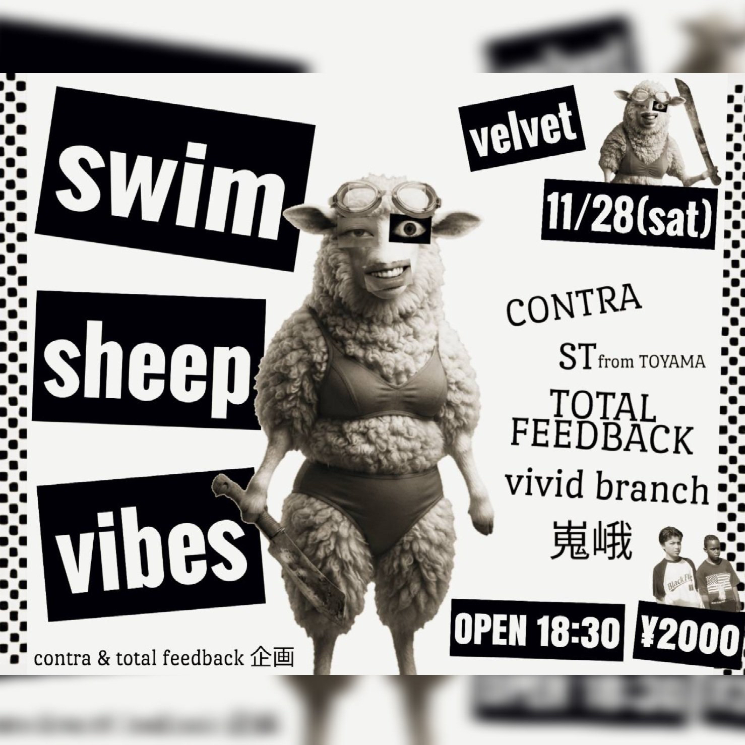 swim sheep vibesフライヤー